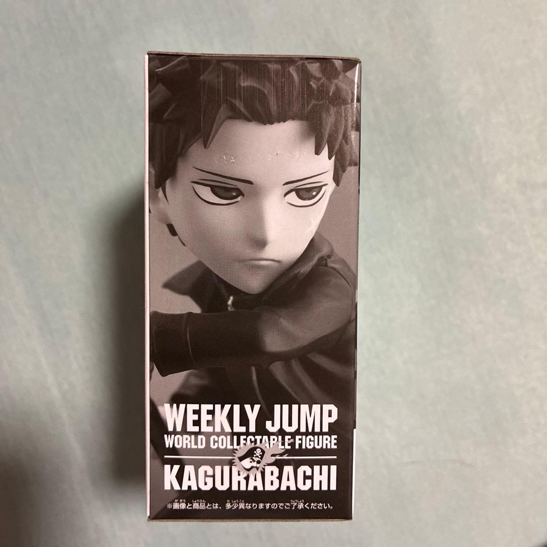 カグラバチ 応募者全員サービス ワールドコレクタブルフィギュア
