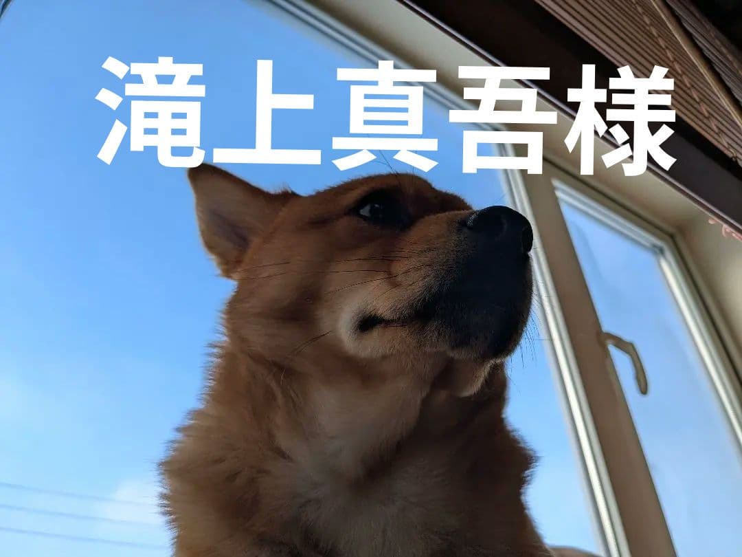 滝上真吾　ウォレットロープ　ハンドメイド