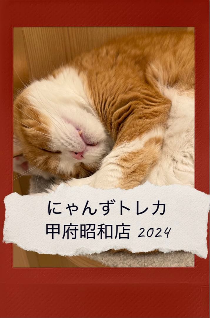 【バラ売り可】にゃんずトレカ甲府昭和店 2024