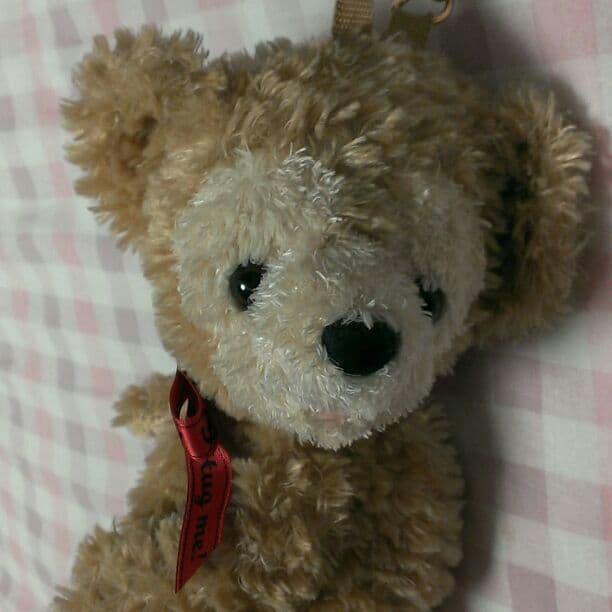 Disney*希少！ダッフィーがディズニーベアという名前だった時のグッズ！