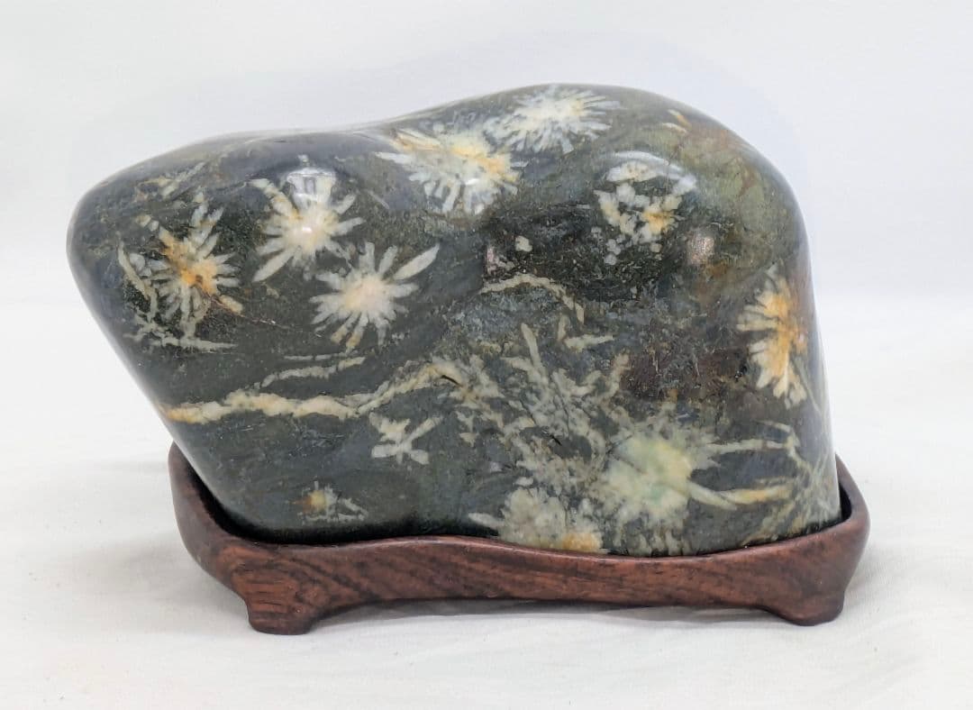 T*n様 菊花石　モスグリーン母岩に白の小花　根尾 鑑賞石 水石 自然石　紫檀台 菊花石 モスグリーン母岩に白の小花 根尾 鑑賞石 水石 自然石