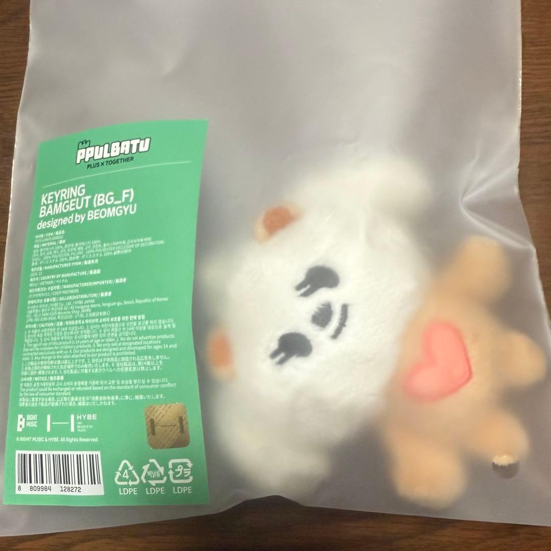 TXT プルバトゥ バムグッ キーリング 初期