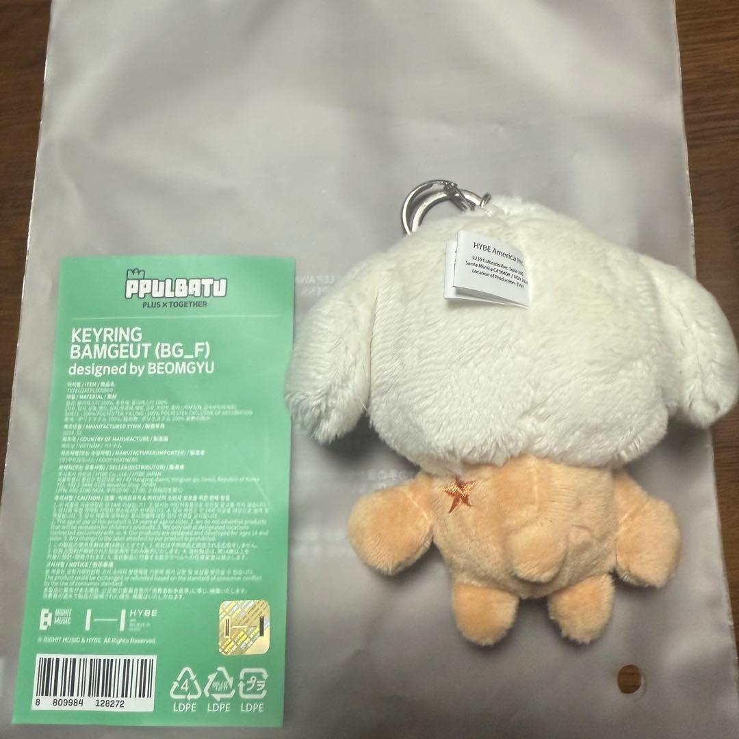 TXT プルバトゥ バムグッ キーリング 初期