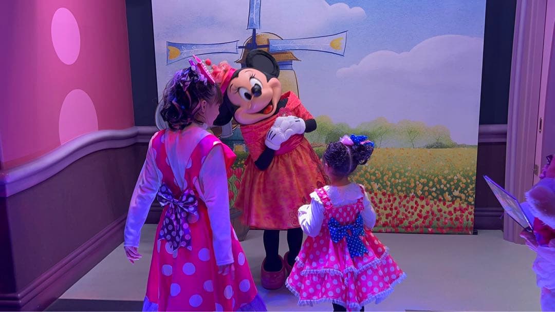 ディズニーパルパルーザ ミニーファンダーランドコスチューム一色