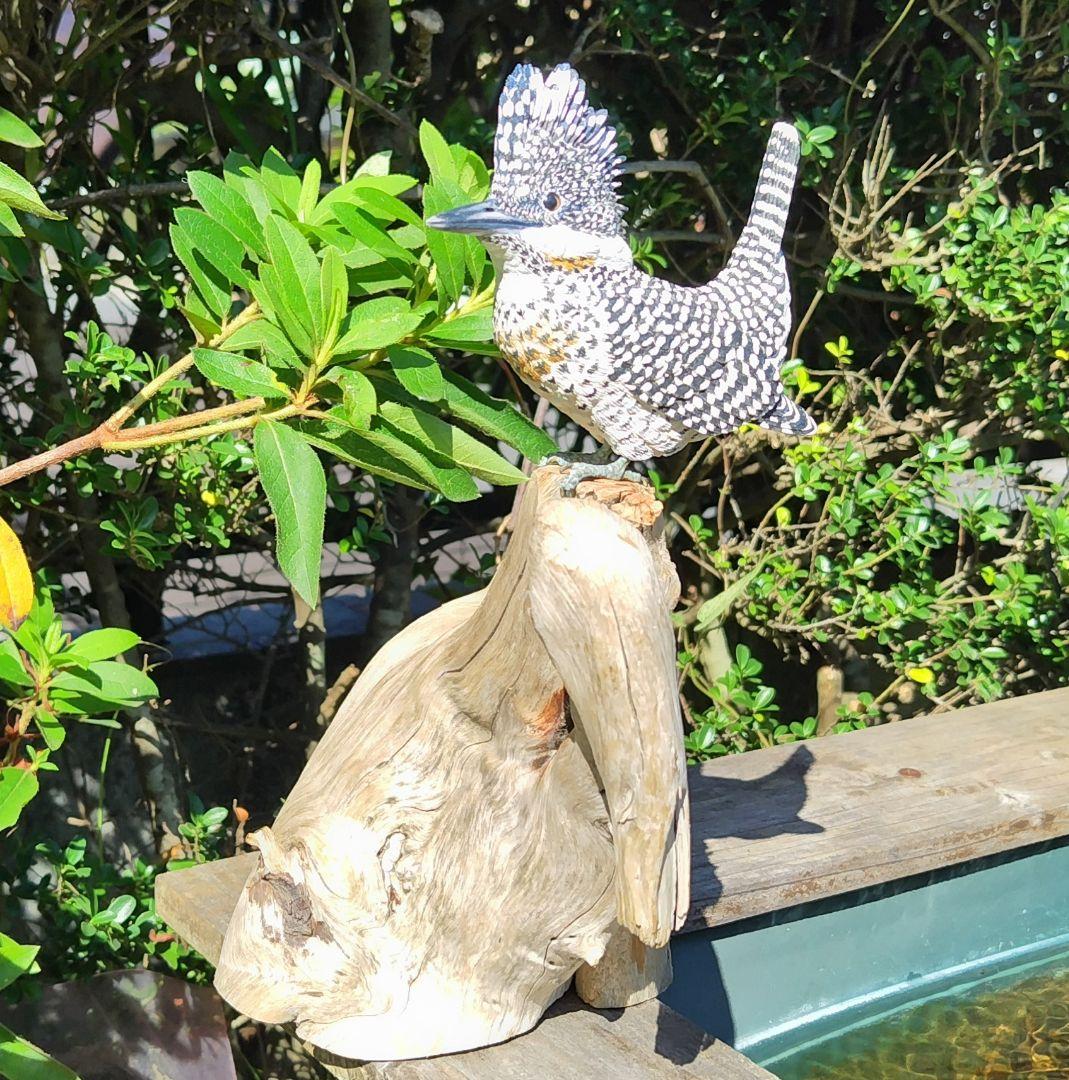 バードカービング”ヤマセミ”(山翡翠）40%スケール S.No.:B04711