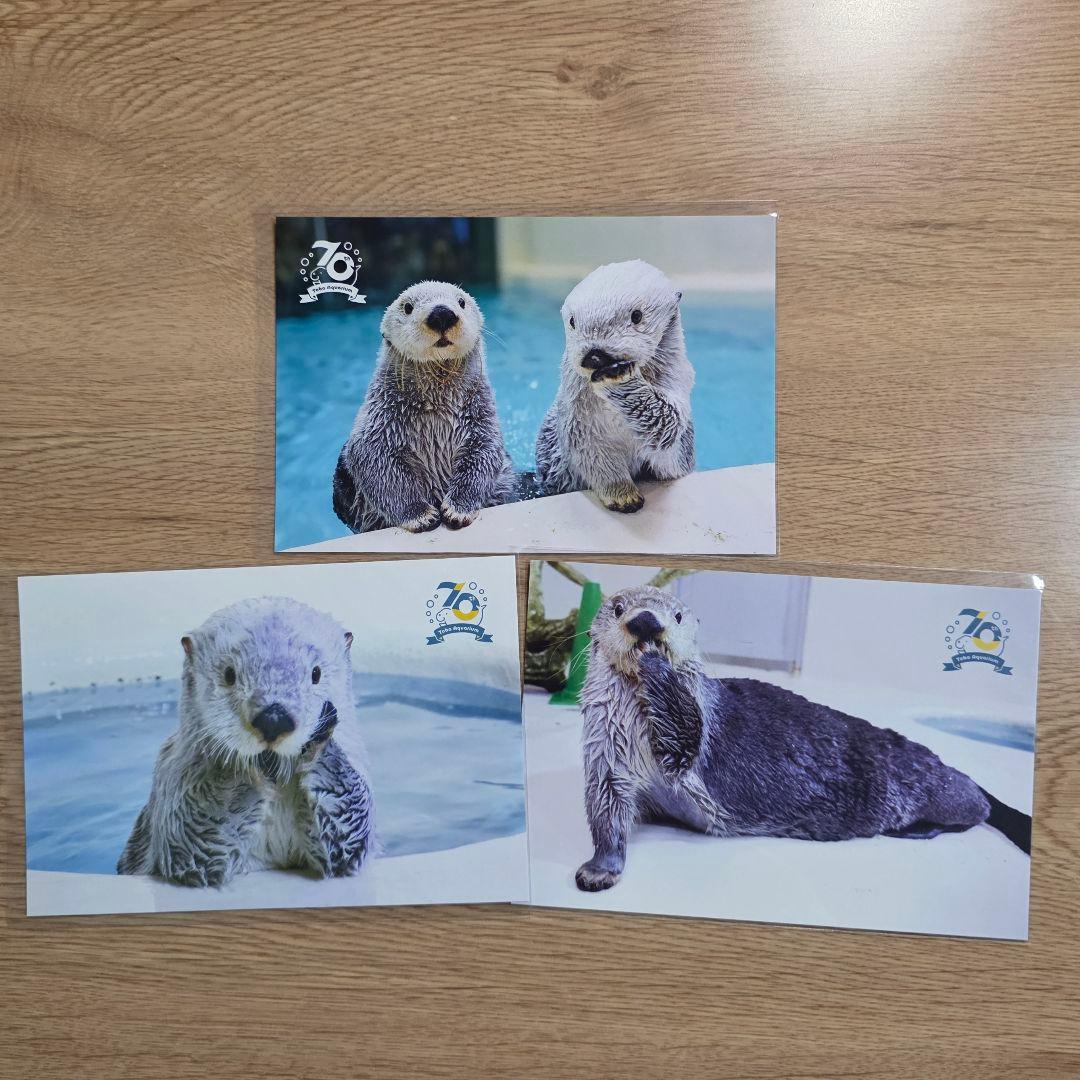 鳥羽水族館 70周年 ポストカード 3枚セット - メルカリ