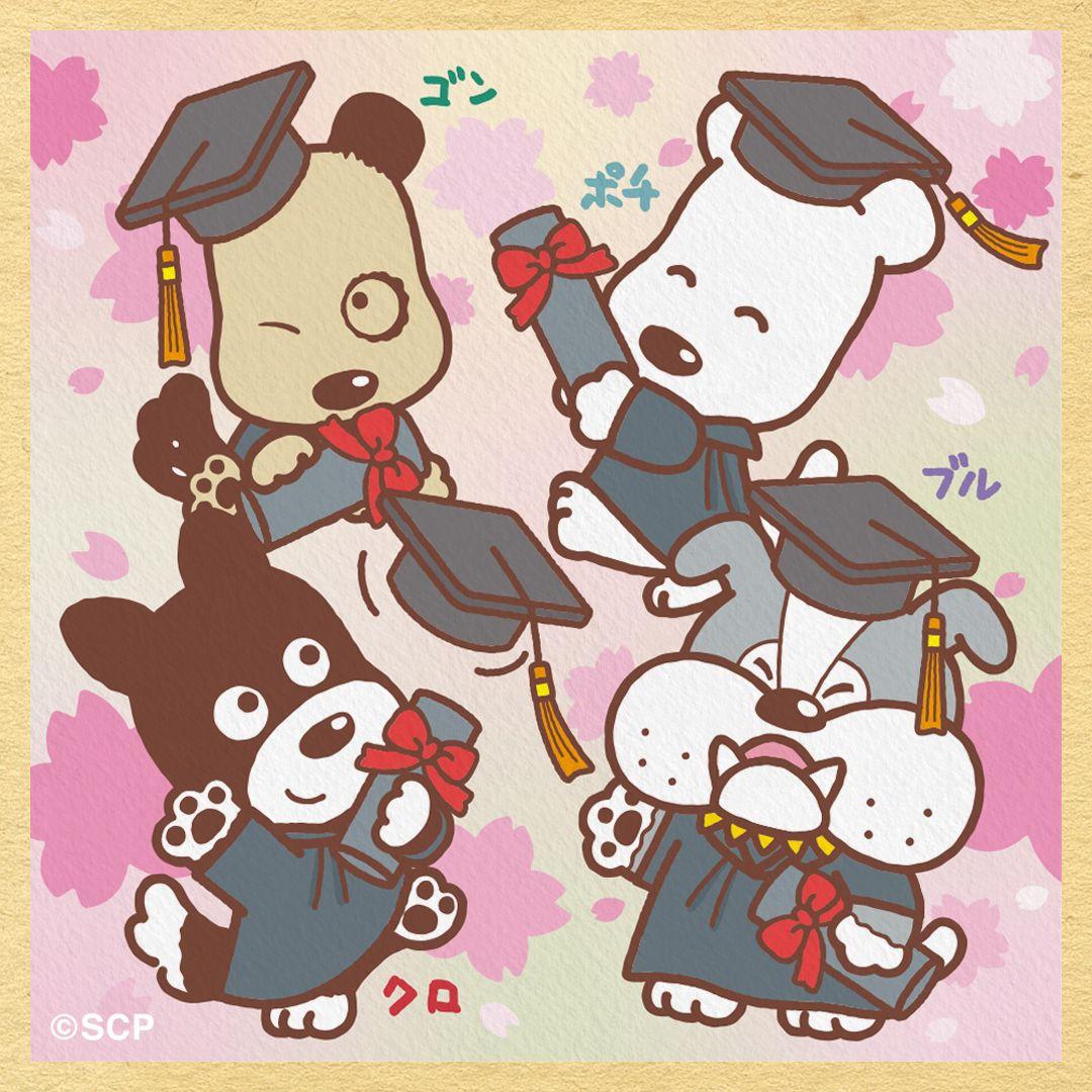 うちのタマしりませんか　正方形1