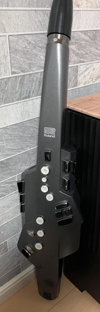 DTM・DAW Roland Aerophone AE-10