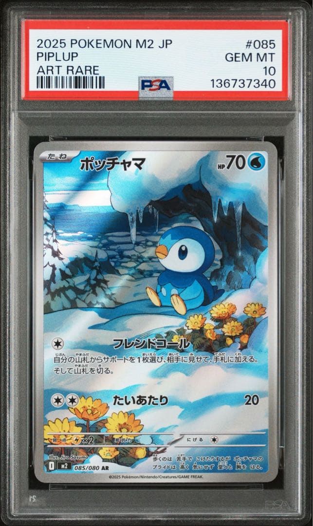 ポッチャマ　M2 085/080 AR PSA10 インフェルノ