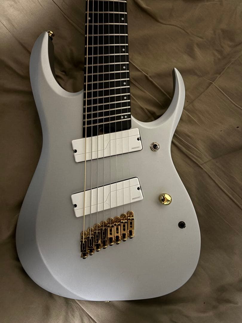 Ibanez RGDMS8 8弦エレキギター