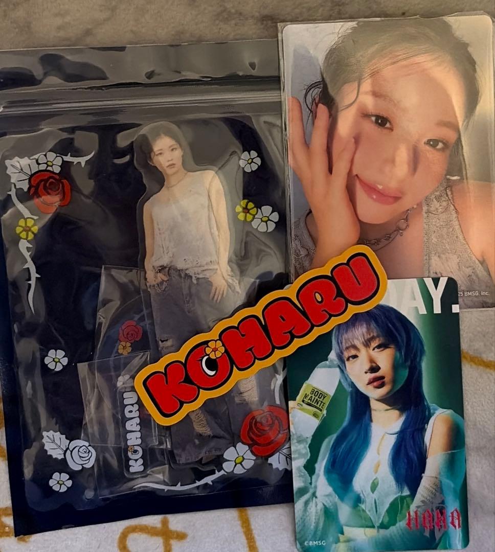 HANA ファンミアクスタ トレカ コハル ジス