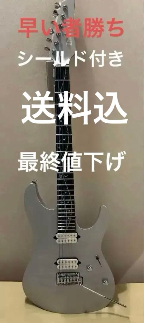 シールドとバッグ付きTOD10 TOD10 | TOD | ELECTRIC GUITARS | PRODUCTS | Ibanez guitars
