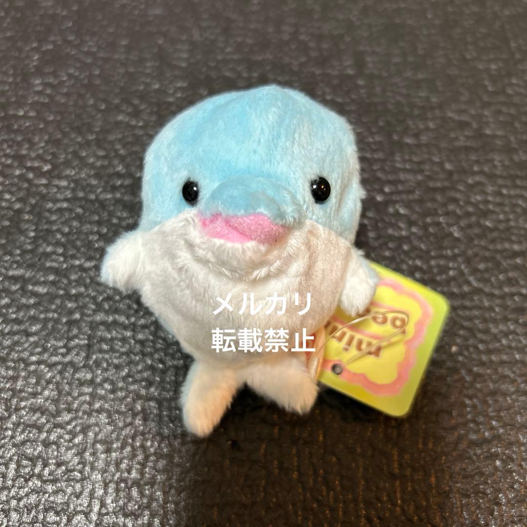 ミニビーンズ イルカ ぬいぐるみ 水族館 いるか まんぼう屋 - メルカリ