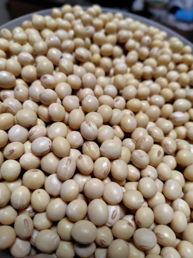 すずはな7年岐阜県産低農薬大豆フクユタカ20キロ