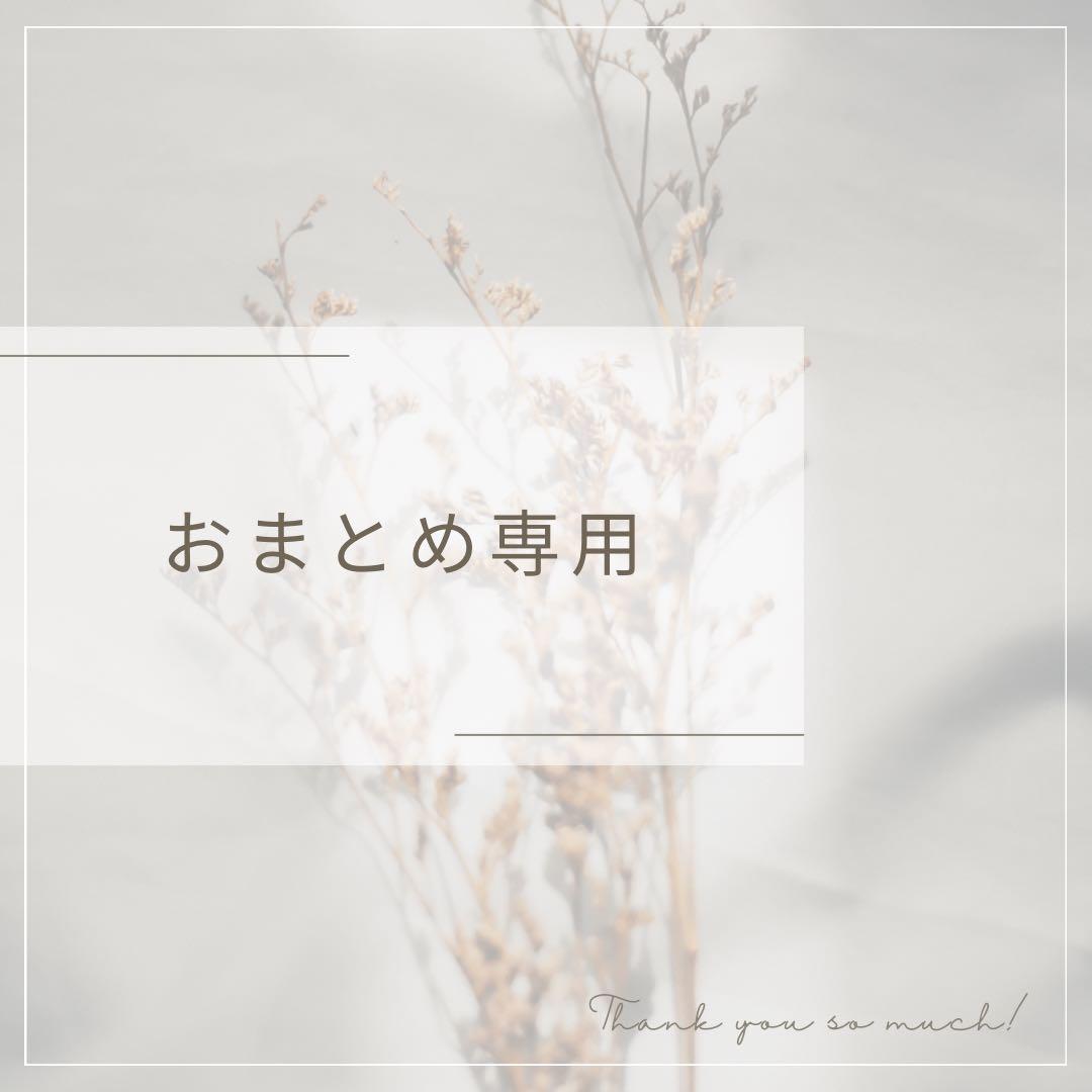 おまとめ専用