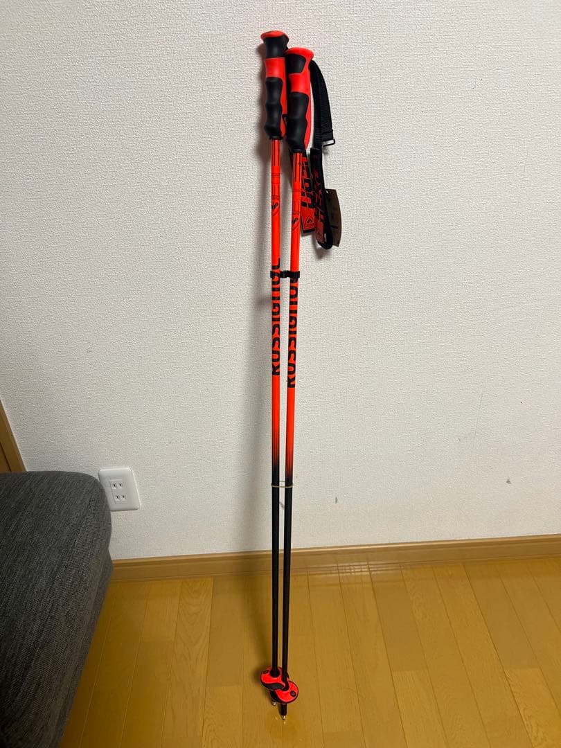 ロシニョール　カーボンストック