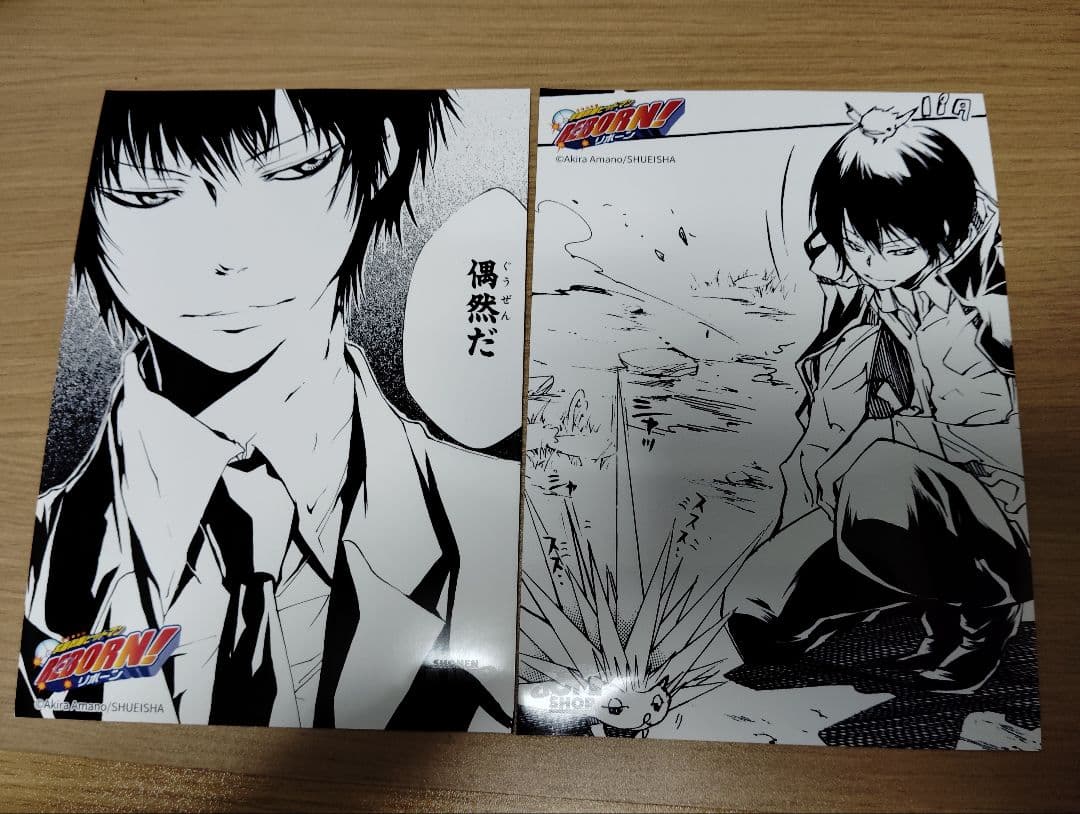 家庭教師ヒットマンREBORN ジャンプショップ プリントブロマイド 雲雀