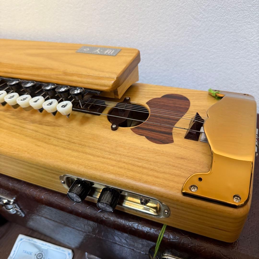 極美品 琴伝流 大和 ハードケース 鍵付き 付属品多数 ピック - メルカリ