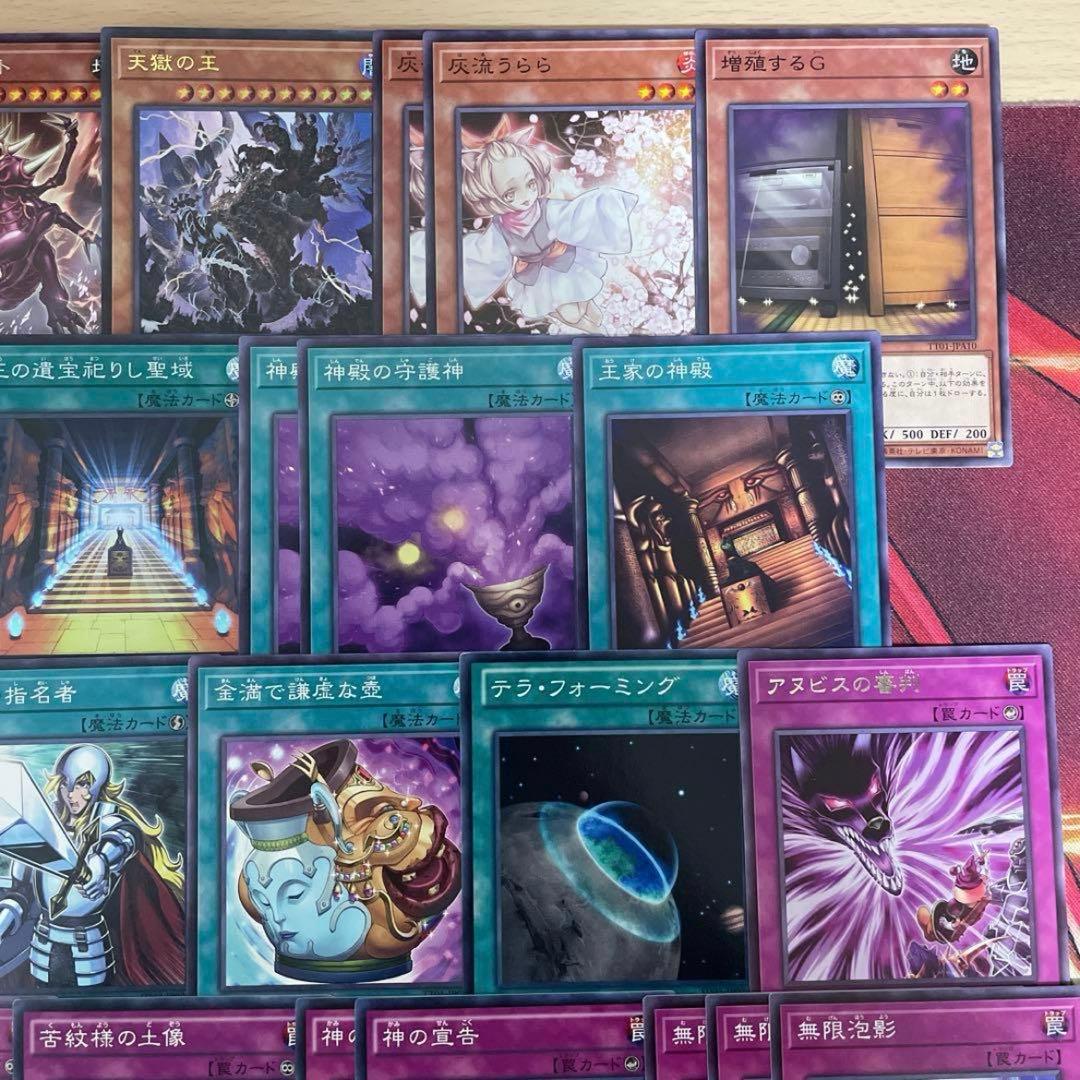 本格構築 王家の神殿デッキ リシドデッキ アポピスデッキ 刻印を持つ者