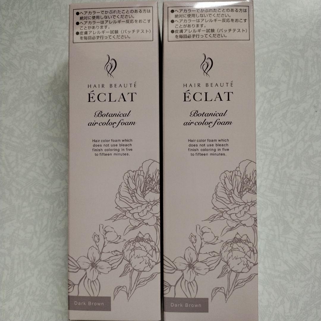 ÉCLAT Botanical air color foam 150g２本