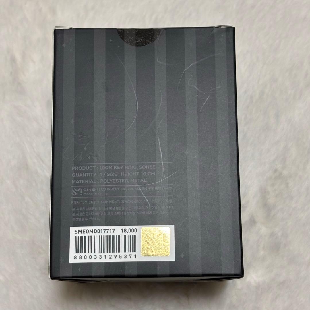 RIIZE ソヒ Fame MD 10CM KEY RING トルビョン - メルカリ