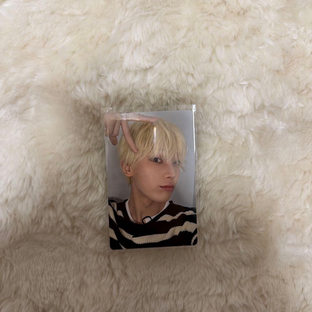 enhypen daydream ソヌ サイン トレカ