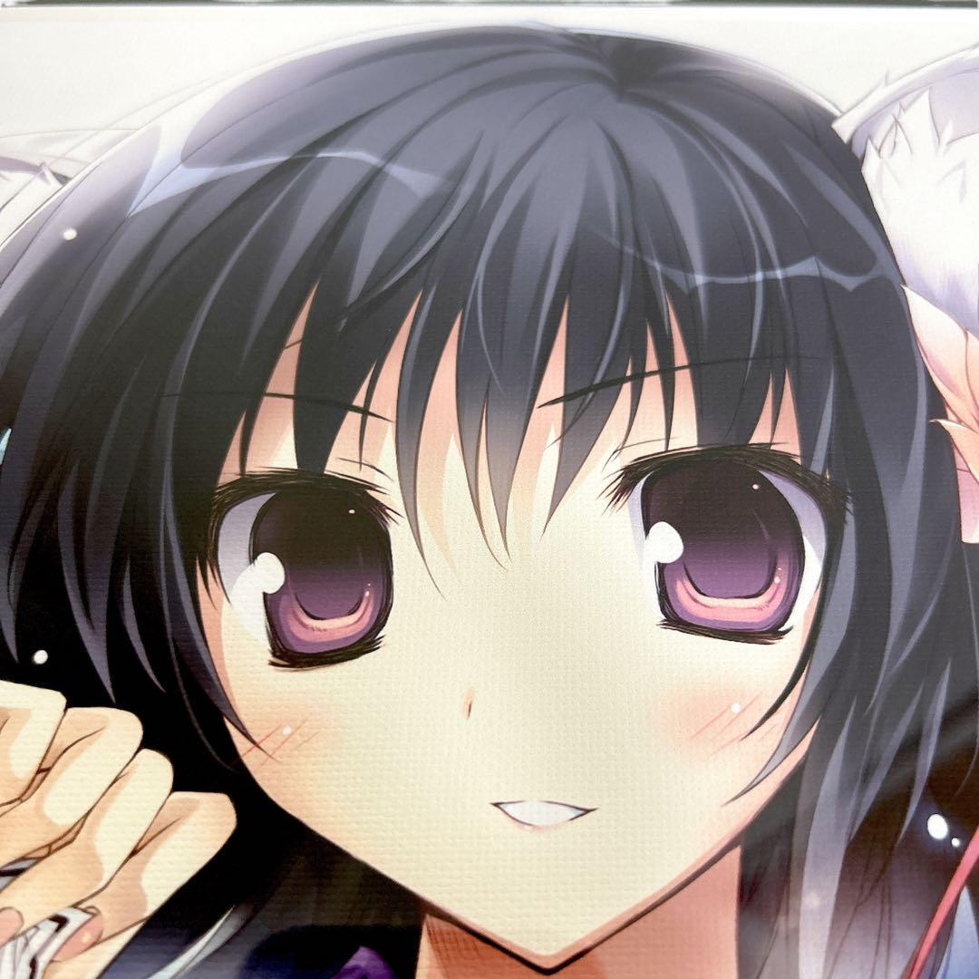 とらのあな karory ガールズコレクションギャラリー2 複製イラスト