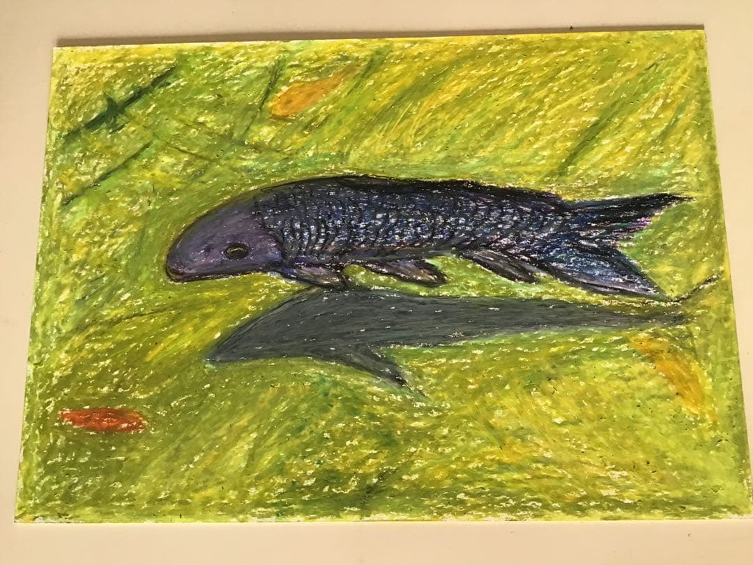 パステル画 鯉を描きました。B5サイズです。