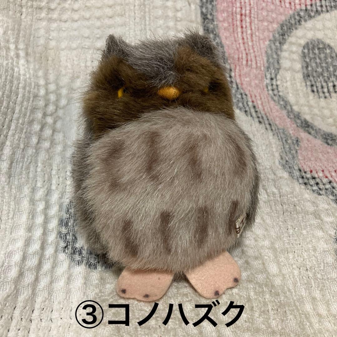 やまね工房 ぬいぐるみ 落合けいこ 6こセット 中古品 コノハズク他