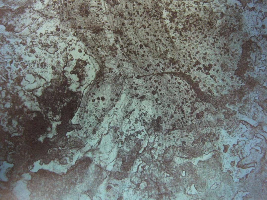 天野喜孝、【水夢】、希少な額装用画集より、状態良好、新品額装付