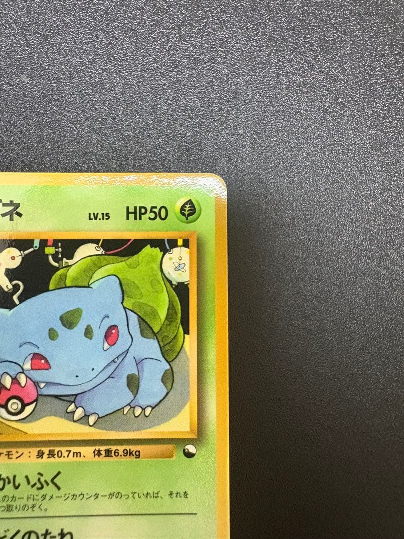 フシギダネ 旧裏 拡張シート 青版 良品 - メルカリ