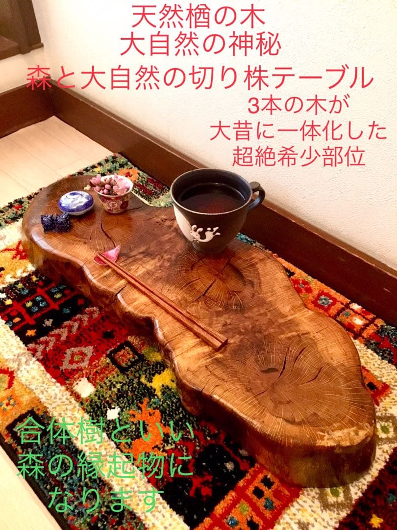 天然楢【神秘的な合体樹＊3本の木が一体化/森と大自然の切り株テーブル】ちゃぶ台