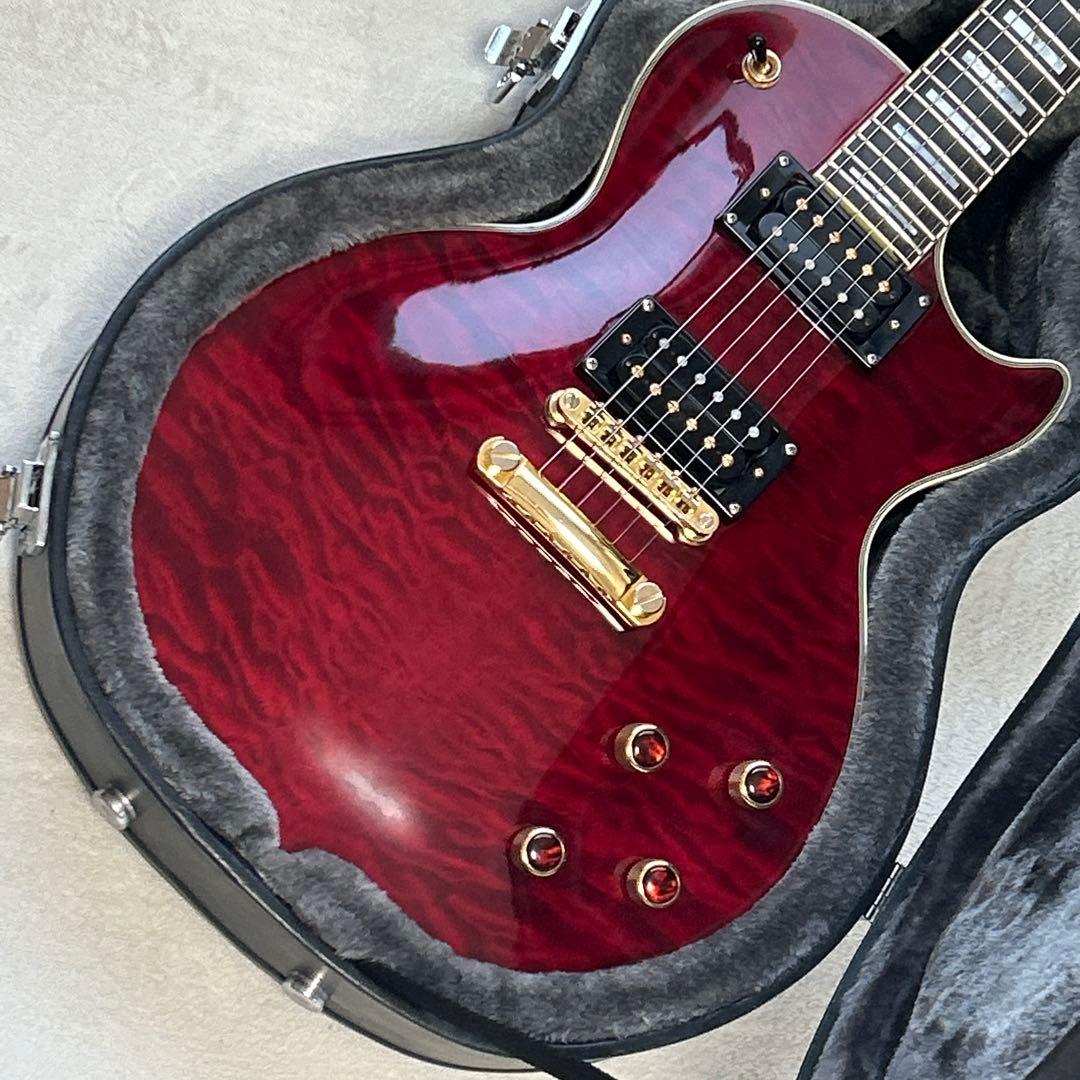 ギター Epiphone Les Paul Custom Prophecy Plus