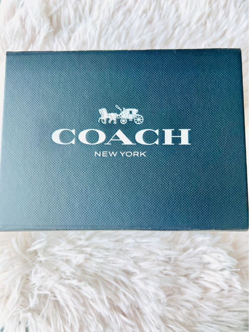 ✨極美品✨COACH コーチ キーホルダー チャーム 恐竜 レキシー