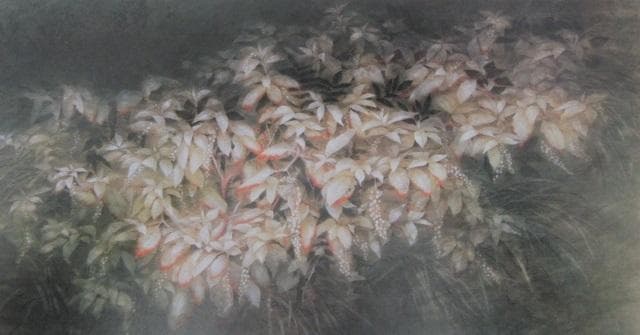 黒光茂明、【秋月夜】、希少な大判額装用画集より、美品、日本人画家