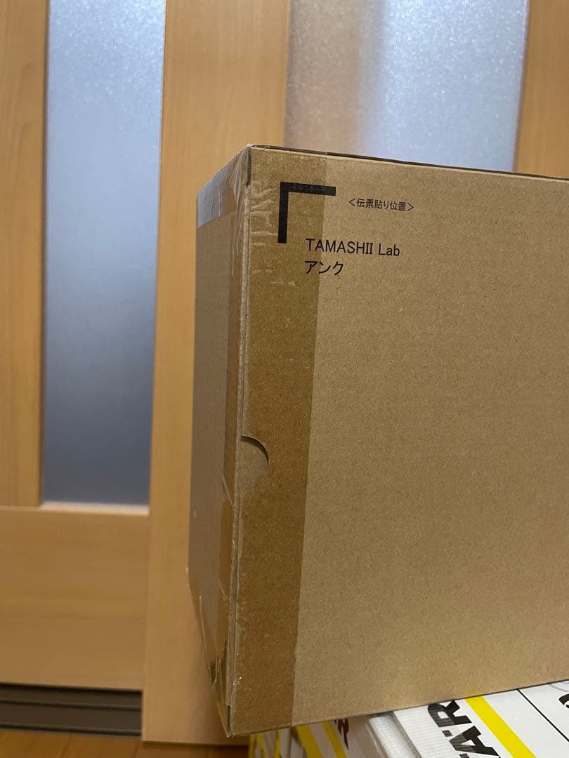【新品・未開封】TAMASHI Lab アンク