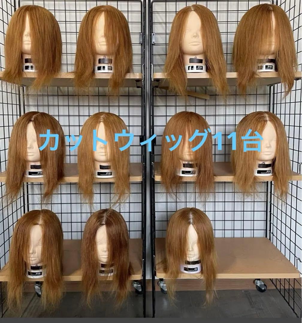 美容師 カットウィッグ 11台 まとめ売り ユーロプレステージ - メルカリ