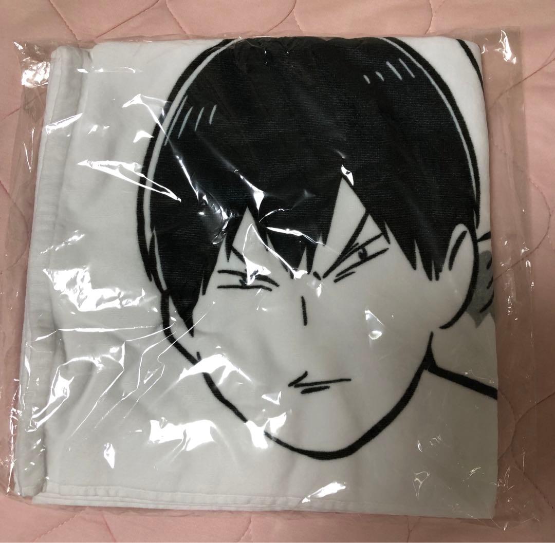 ハイキューファンパーク かげやまトビウオ つかみ取り B賞 魚拓風