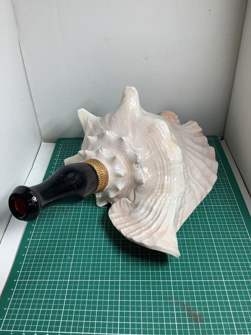 ヤフメリ55・ピンクガイ・法螺貝・山伏・修験者・戦国武将・金峯山・羽黒山・縁起物