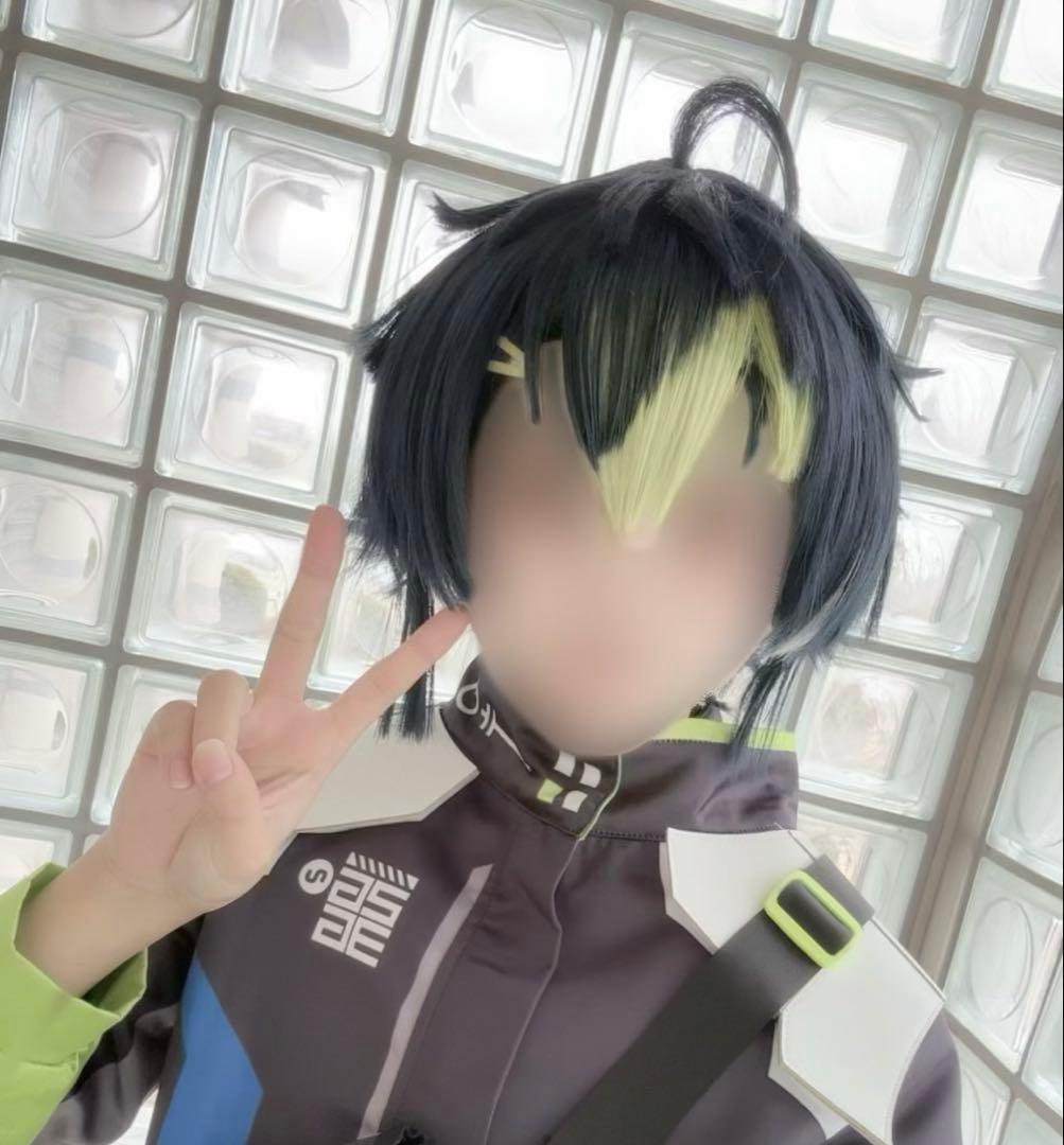 値下げ済】伊波ライ コスプレ ウィッグ - メルカリ