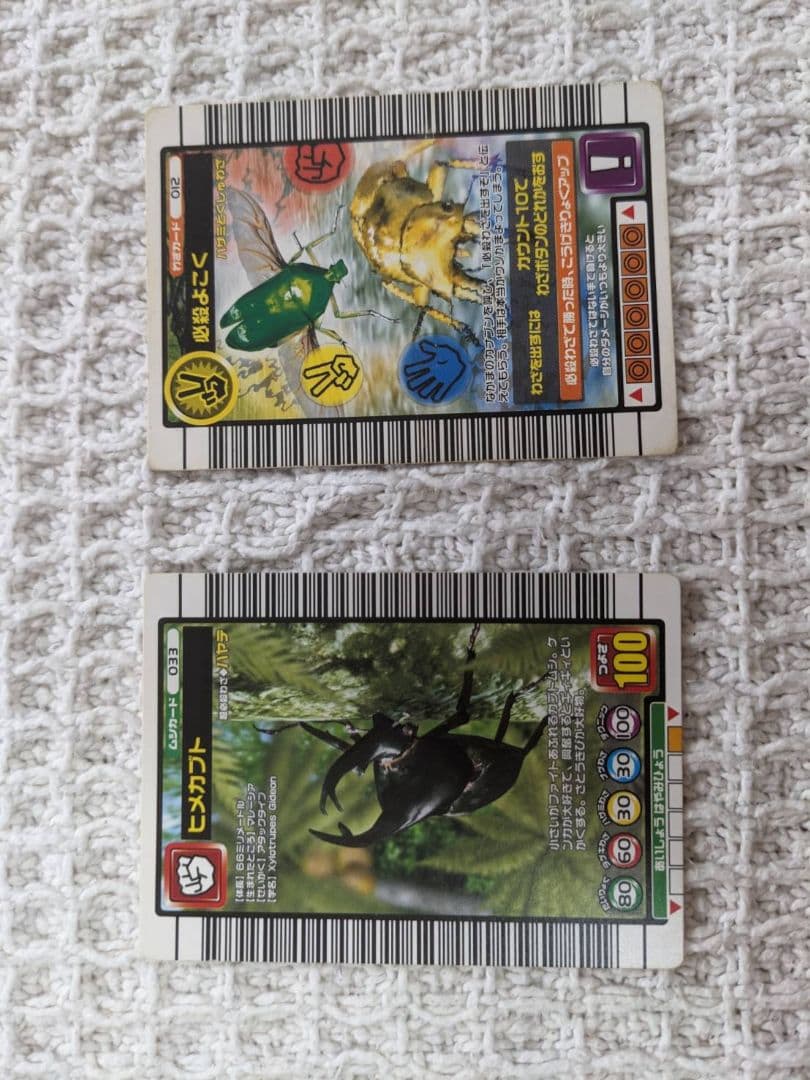 昆虫トレーディングカードセット