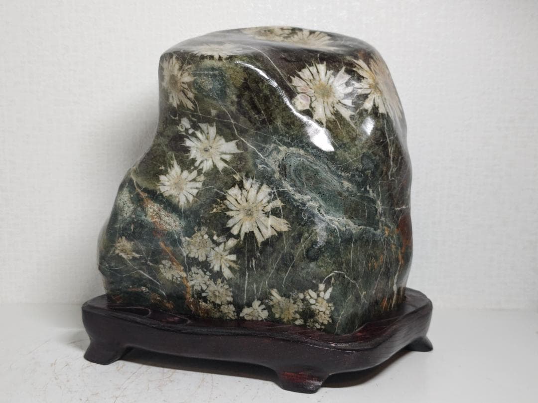 白菊 9.6kg 菊花石 菊紋石 花紋石 紋石 鑑賞石 自然石 水石 原石