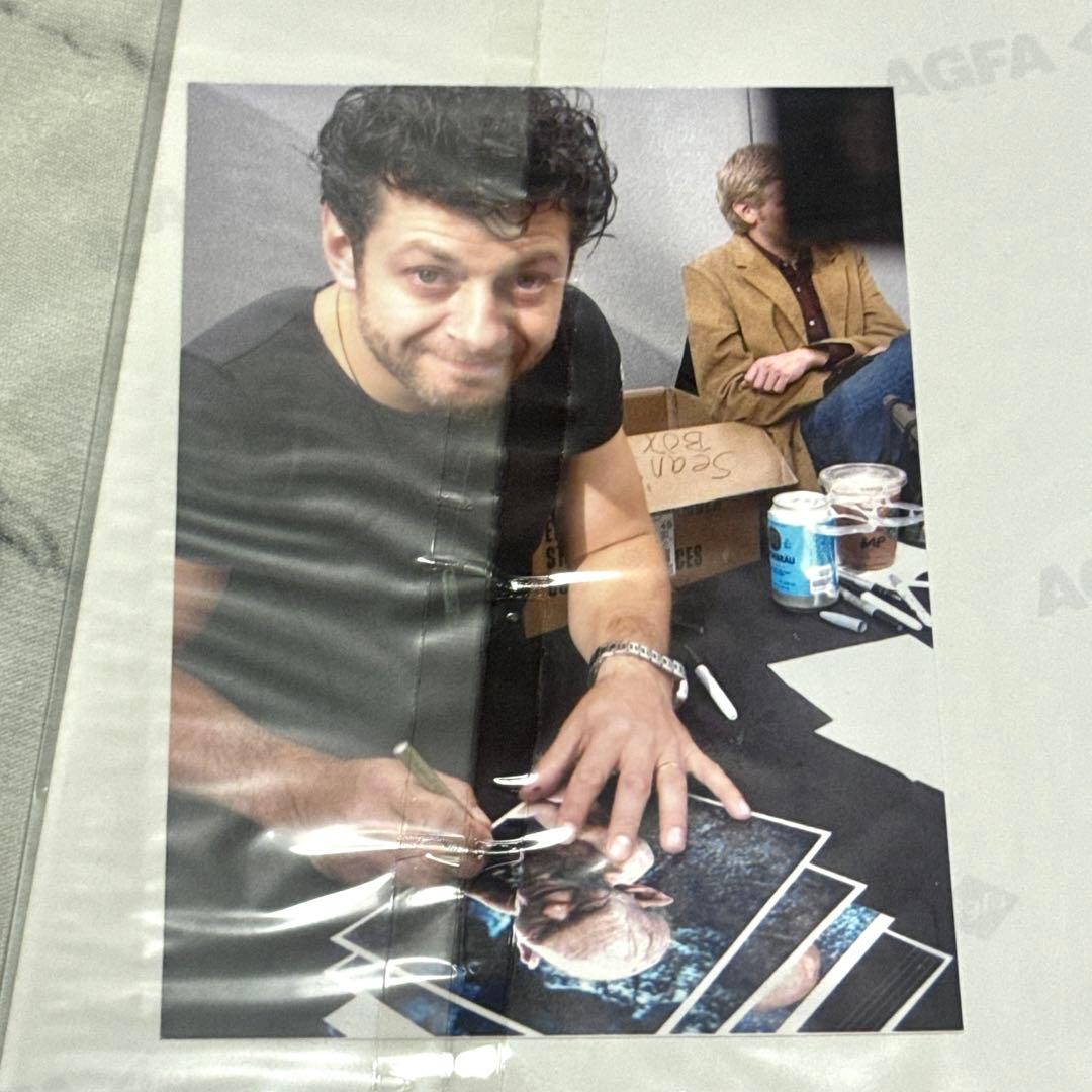 ロードオブザリング 直筆サイン 4枚組 ポートレート イライジャ