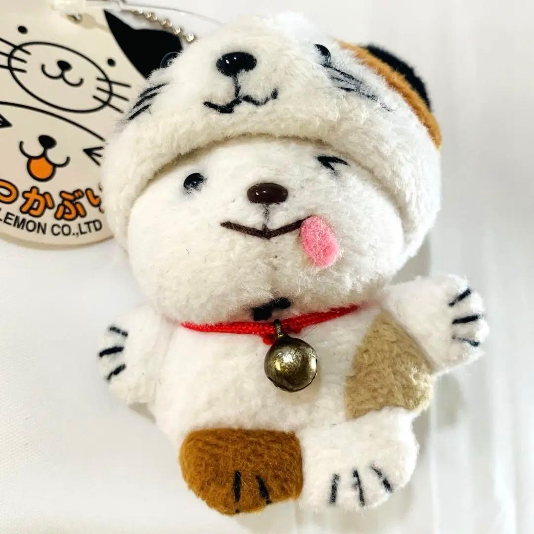 レトロ　ネコっかぶり　サンレモン　タグ付き　希少 猫　帽子　POP'N'KIDS Amazon.co.jp (アマゾン) added a new photo. - Amazon.co.jp (アマゾン)