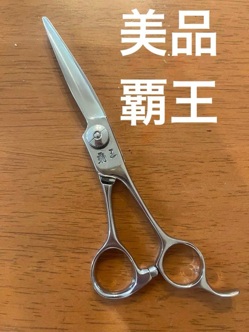 【美品】　柳生　シザー　覇王925M 6.0インチ