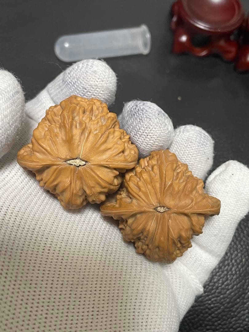 No.544 ❤️遊ぶクルミ 文玩核桃 精配白狮子天使之翼异形 - メルカリ