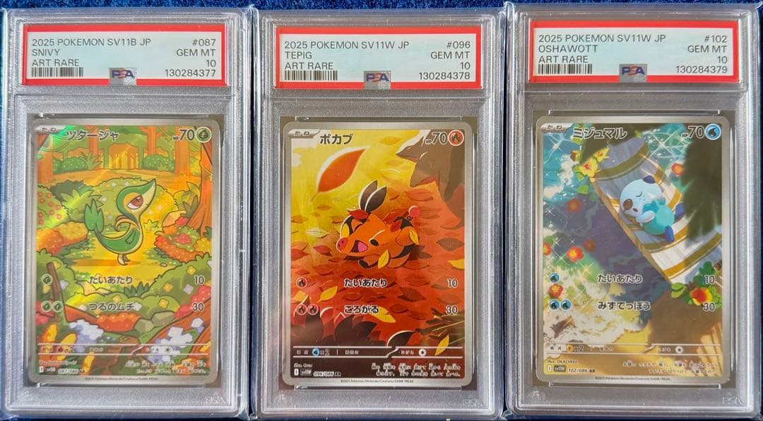 PSA10 ３連番 御三家 ツタージャ ポカブ ミジュマル AR ブラホワ PSA10 3連番 御三家 ツタージャ ポカブ ミジュマル AR ブラホワ