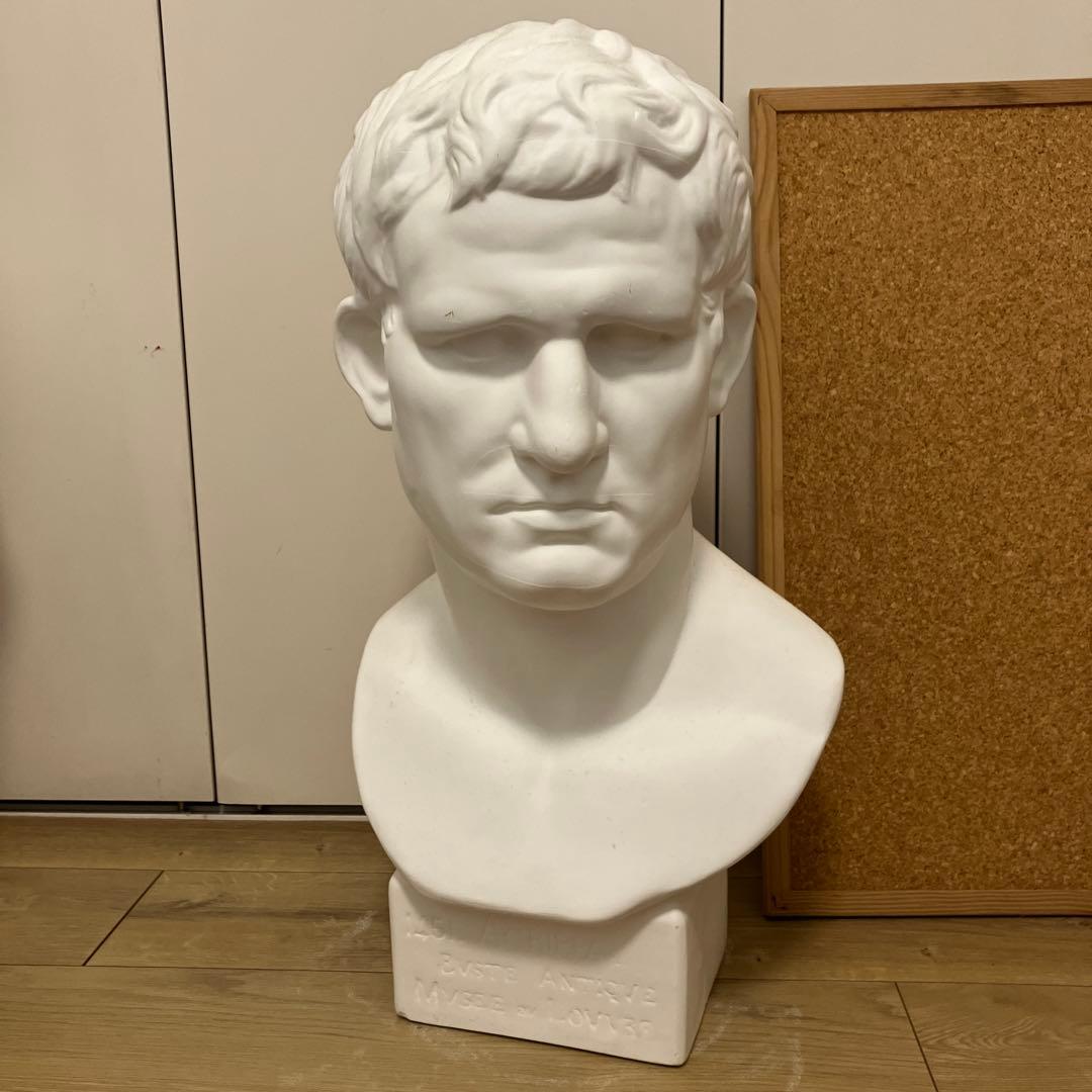 石膏像】アグリッパ 首像 デッサン - メルカリ