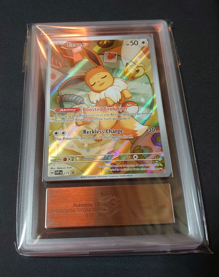 イーブイ AR プロモ テラスタルフェス 海外限定イラスト