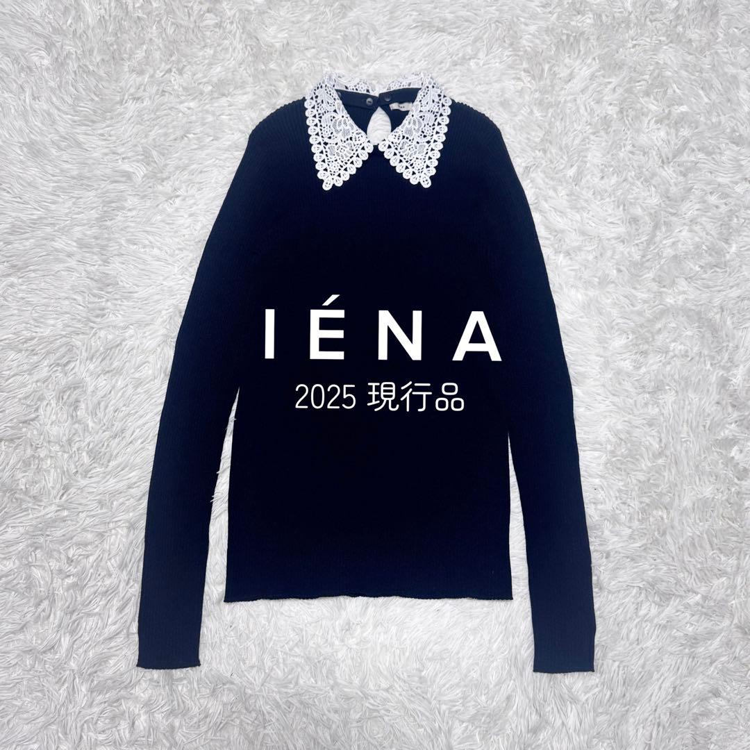 25年 美品 イエナ IENA レース襟ホールガーメント リブプルオーバー IENA｜《予約》レース襟 RIBホールガーメントプルオーバー | Rakuten